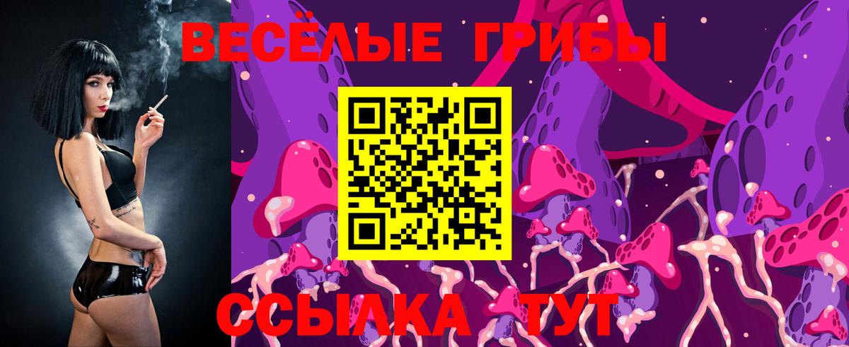 Галлюциногенные грибы MAGIC MUSHROOMS  Апатиты  Псилоцибиновые грибы MAGIC MUSHROOMS 