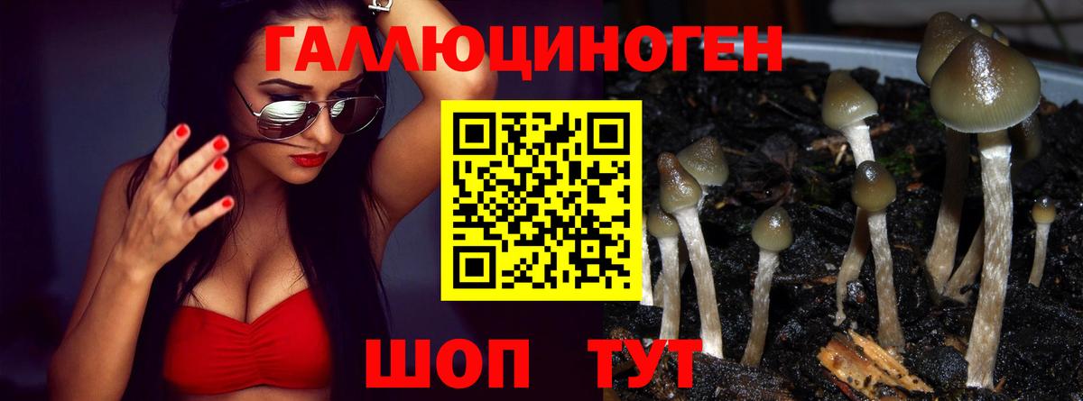 Псилоцибиновые грибы мицелий Апатиты